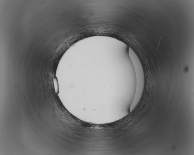 X0000116510419201001061227