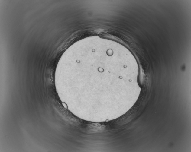X0000116510421201001061227
