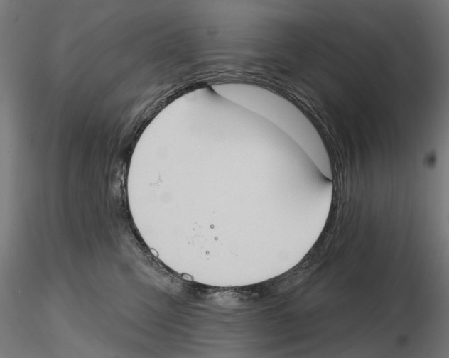 X0000116510423201001061227