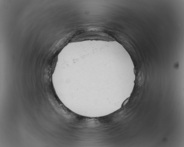 X0000116510424201001061227