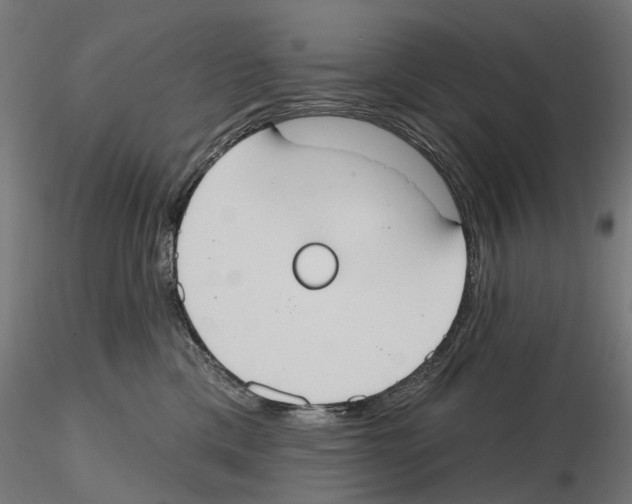 X0000116510425201001061227