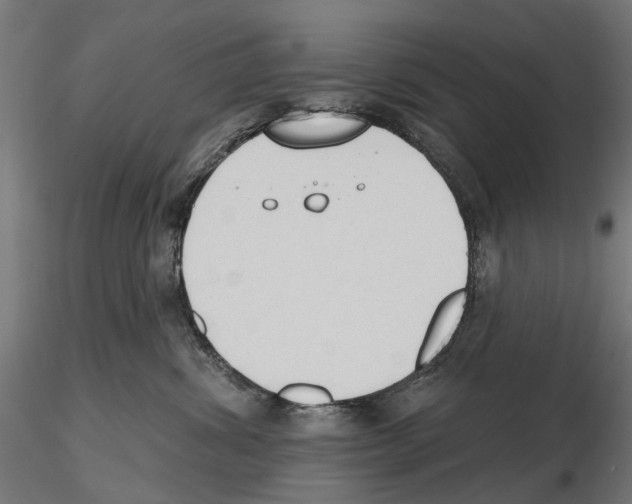 X0000116510428201001061227
