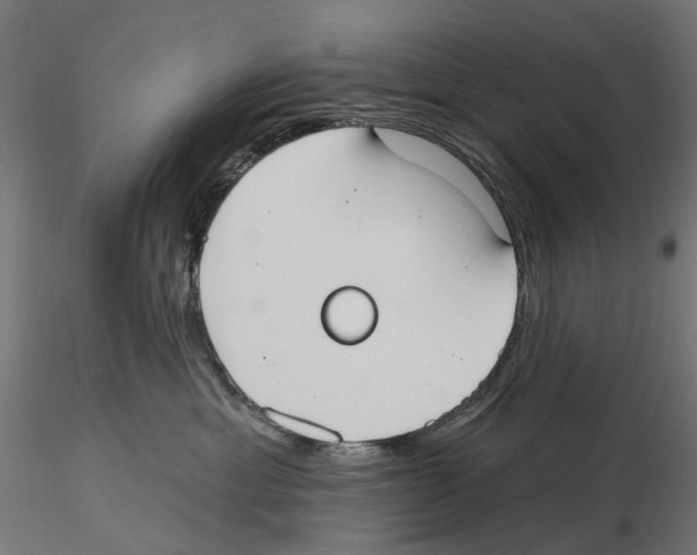 X0000116510429201001061227
