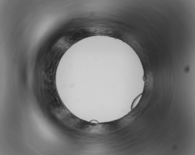 X0000116510430201001061227