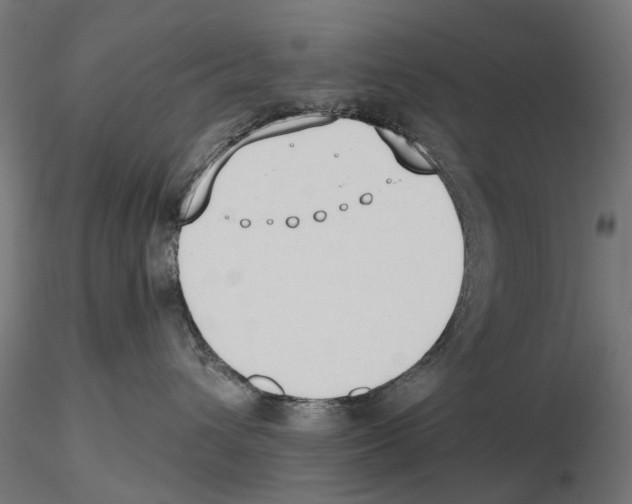 X0000116510432201001061227