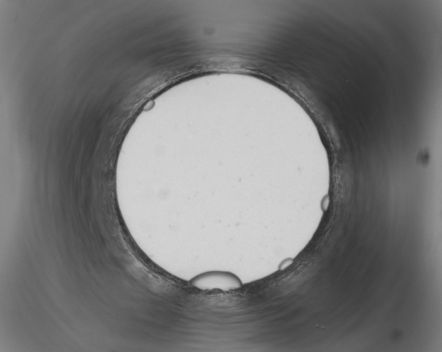 X0000116510433201001061226