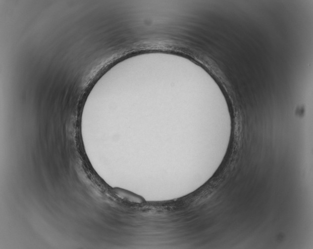 X0000116510434201001061226