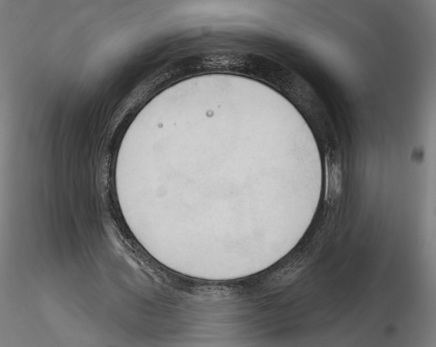 X0000116510435201001061226