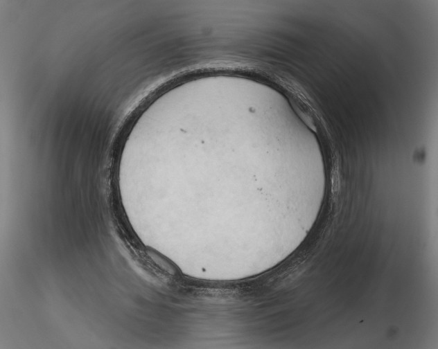 X0000116510436201001061226