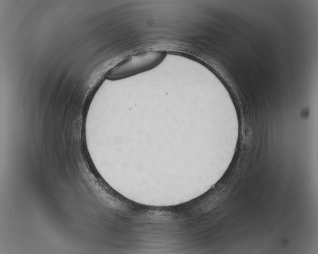 X0000116510437201001061226