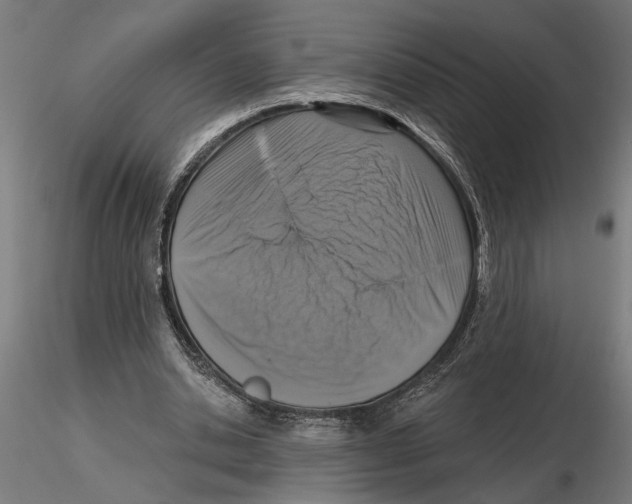 X0000116510438201001061226