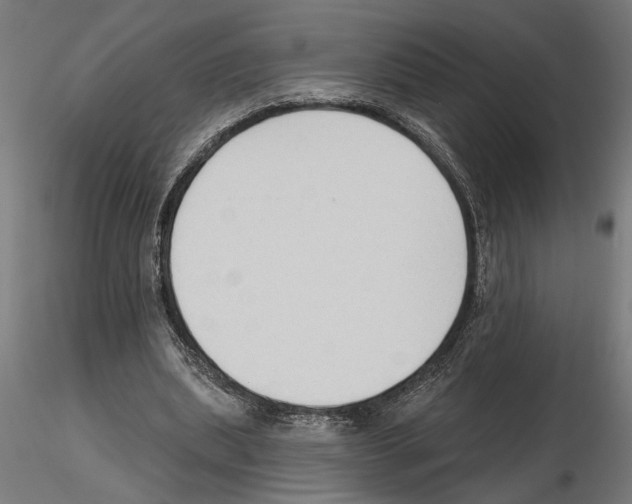 X0000116510439201001061226