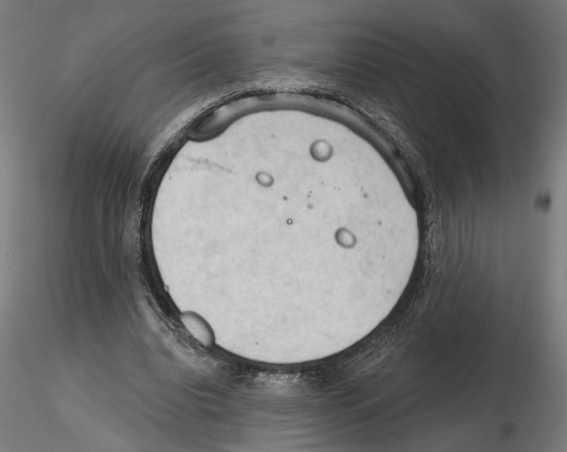 X0000116510440201001061226