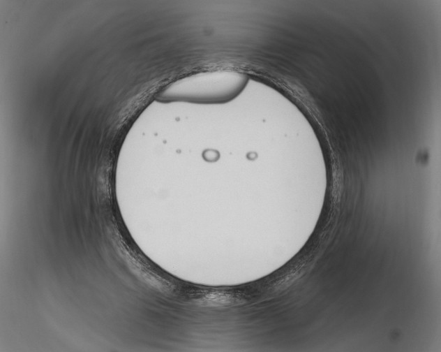 X0000116510441201001061226
