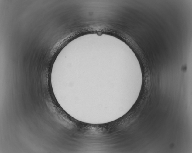 X0000116510442201001061226