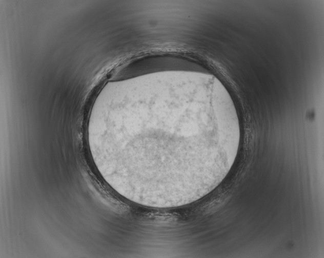 X0000116510443201001061226