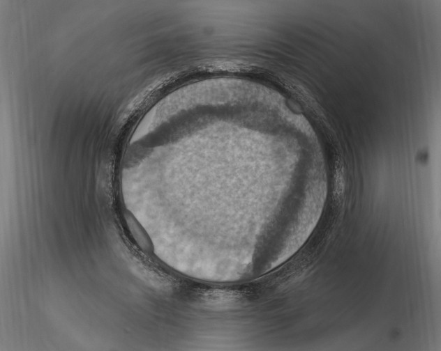 X0000116510444201001061226