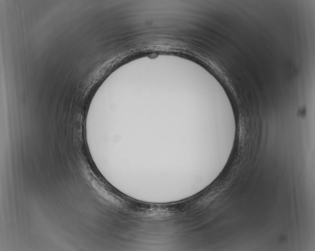 X0000116510445201001061226
