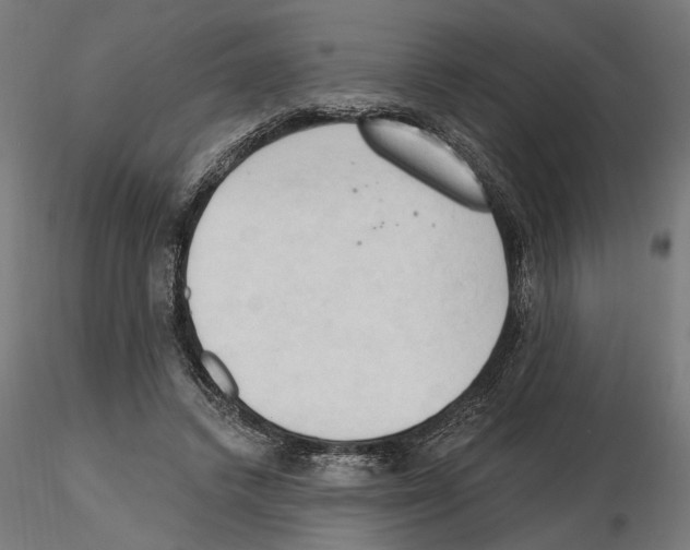 X0000116510448201001061226