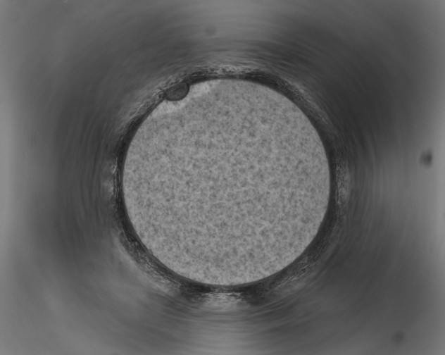 X0000116510451201001061226
