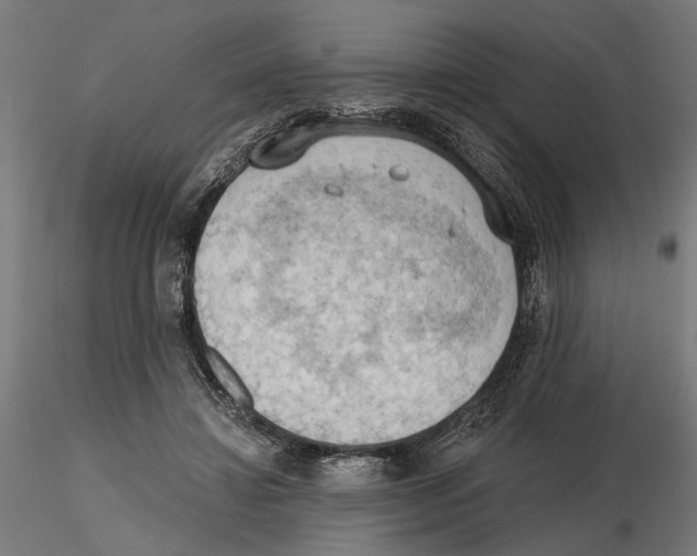 X0000116510452201001061226