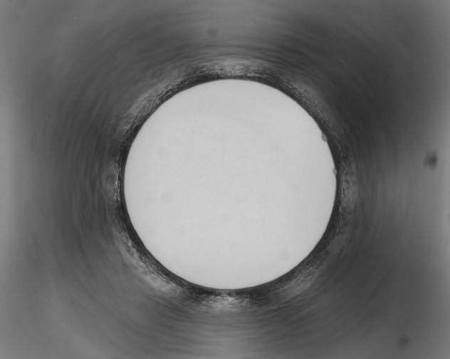 X0000116510453201001061226