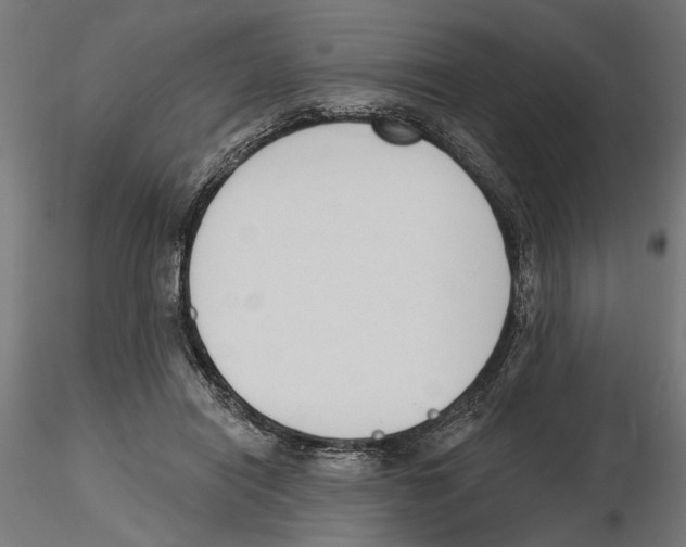 X0000116510454201001061226