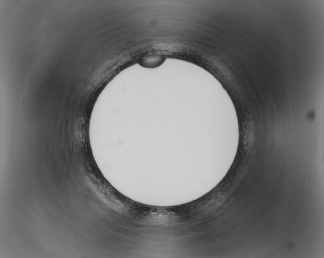 X0000116510455201001061226