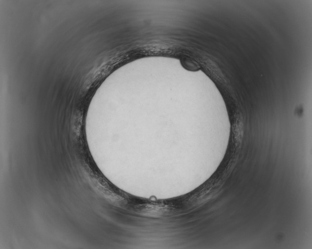 X0000116510458201001061226