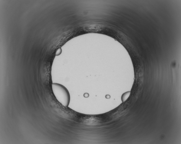 X0000116510460201001061226