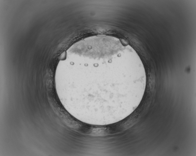 X0000116510461201001061226