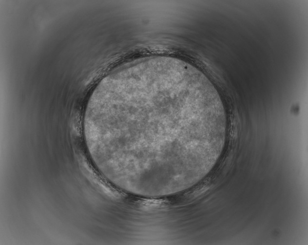 X0000116510465201001061227