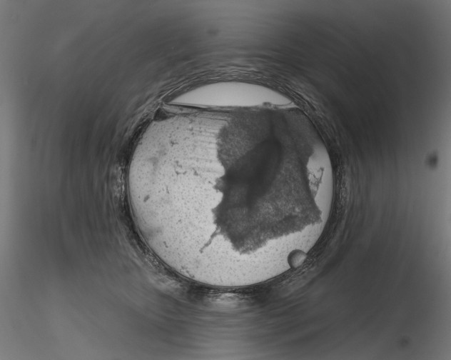X0000116510467201001061227