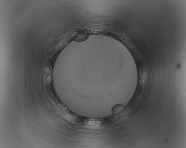 X0000116510471201001061227