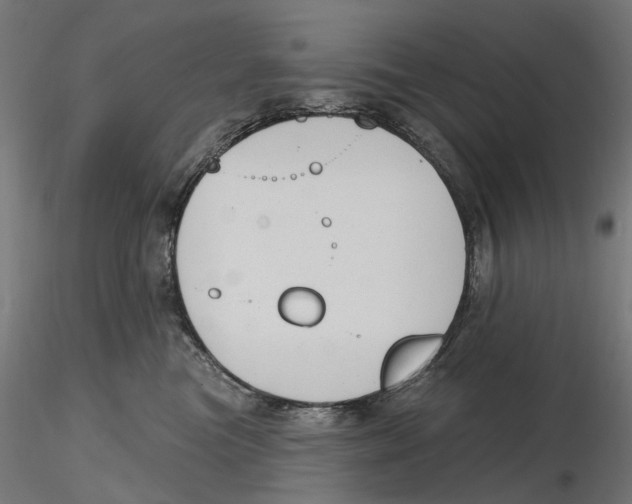 X0000116510473201001061227