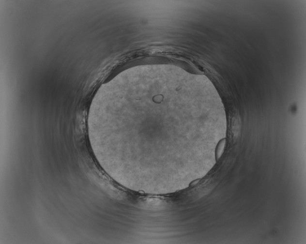X0000116510475201001061227
