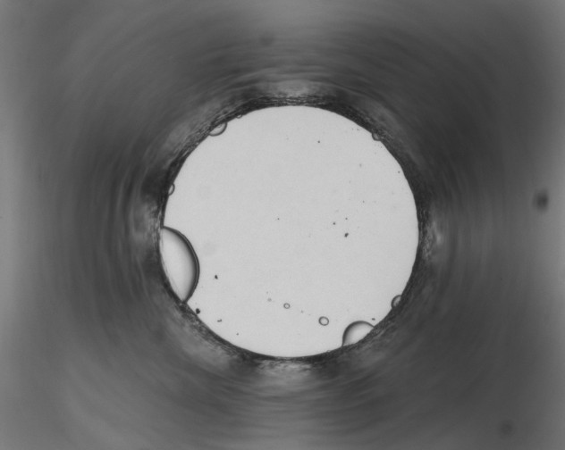 X0000116510476201001061227