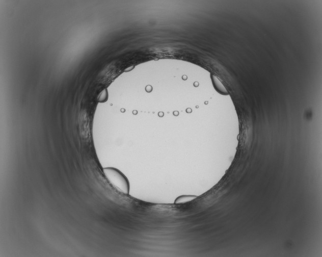 X0000116510477201001061227
