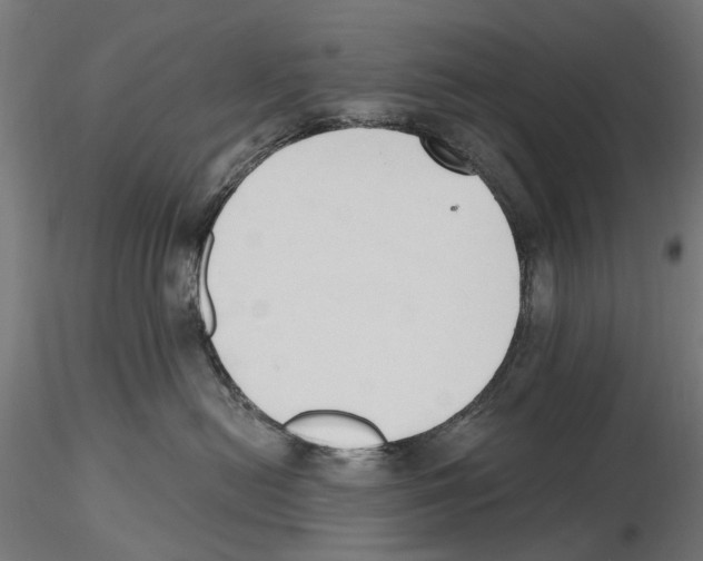 X0000116510478201001061227