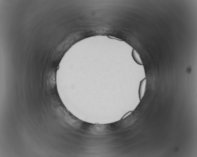 X0000116510479201001061227