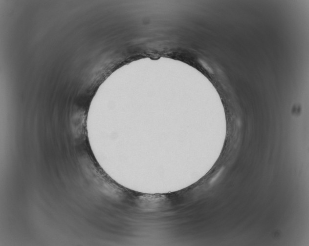 X0000116510480201001061227