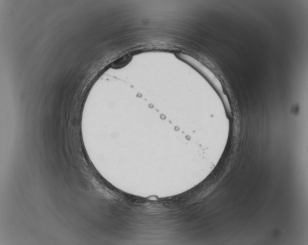 X0000116510481201001061226