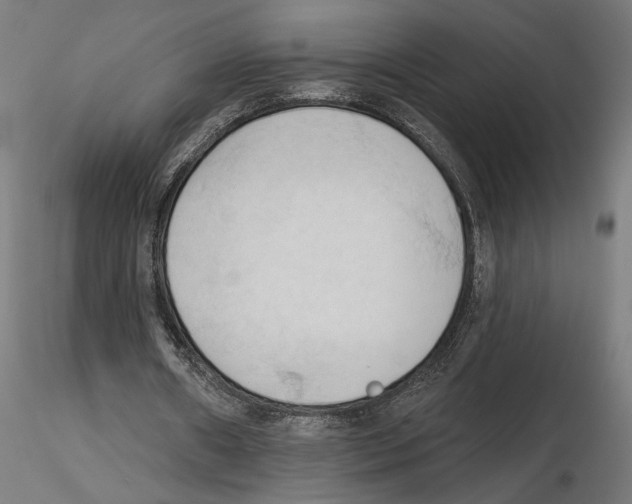 X0000116510482201001061226