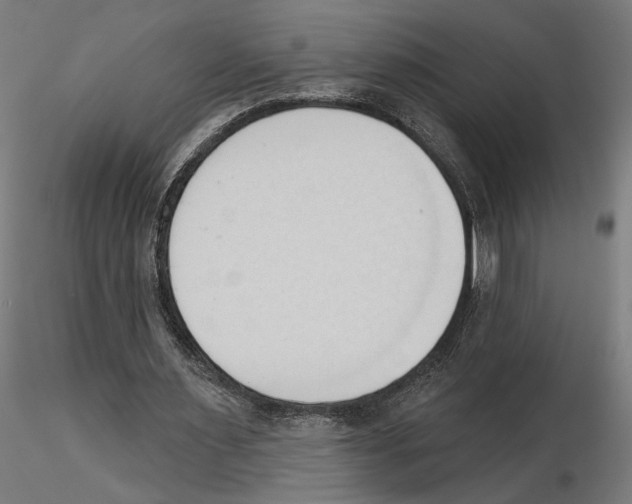 X0000116510483201001061226