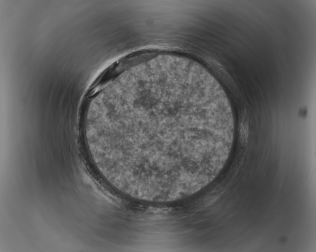 X0000116510484201001061226