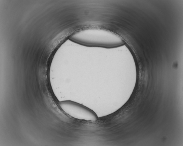 X0000116510485201001061226