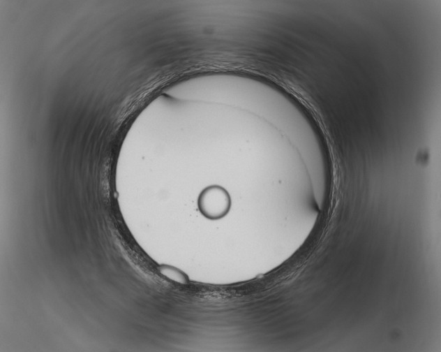 X0000116510489201001061226