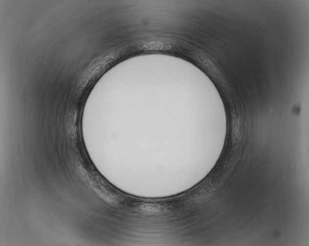 X0000116510490201001061226