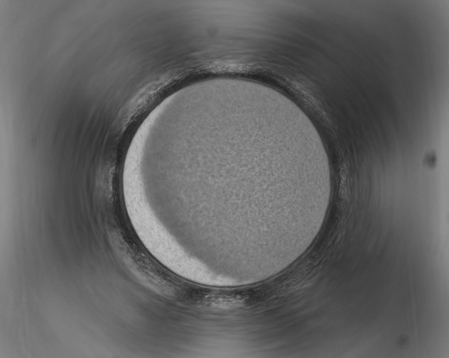 X0000116510491201001061226