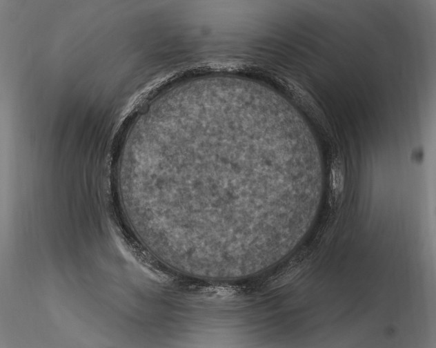 X0000116510492201001061226